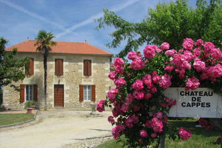 Château de Cappes